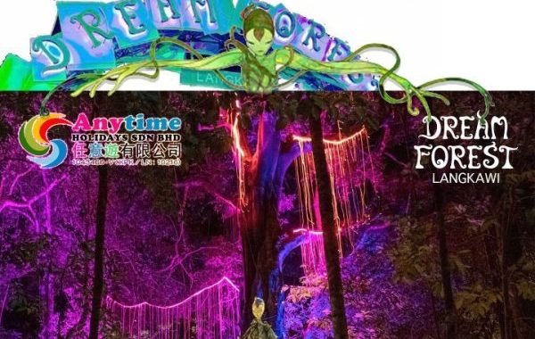 DREAM FOREST