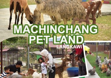 MACHINCHANG PET LAND
